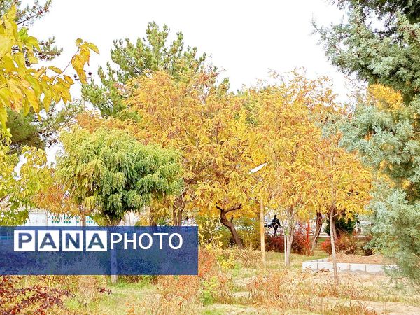 کاشمر در برگریزان پاییز