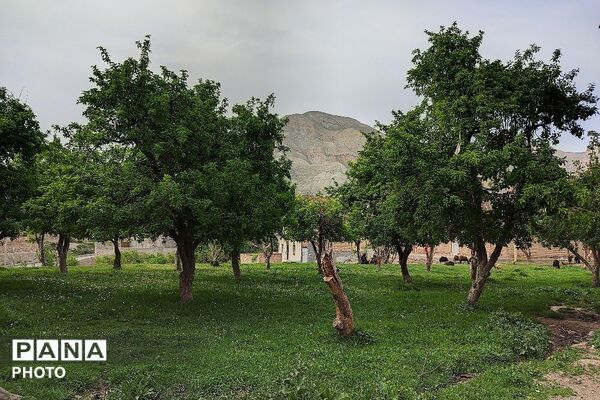 آلبوم تصویری از طبیعت زیبای شهر بار در اردیبهشت‌ماه  ۱۴۰۵ـ۲