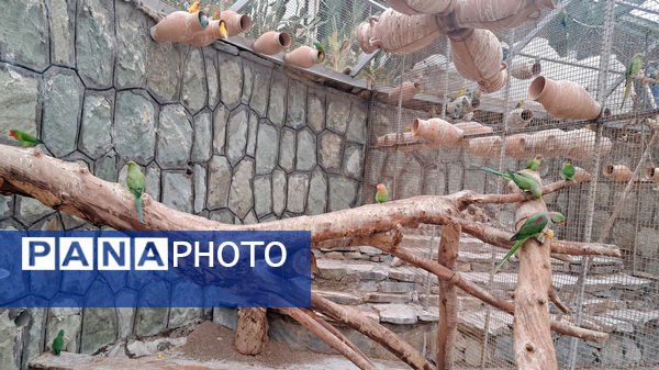 باغ پرندگان قم: جاذبه‌ای بی‌نظیر در قلب کشور