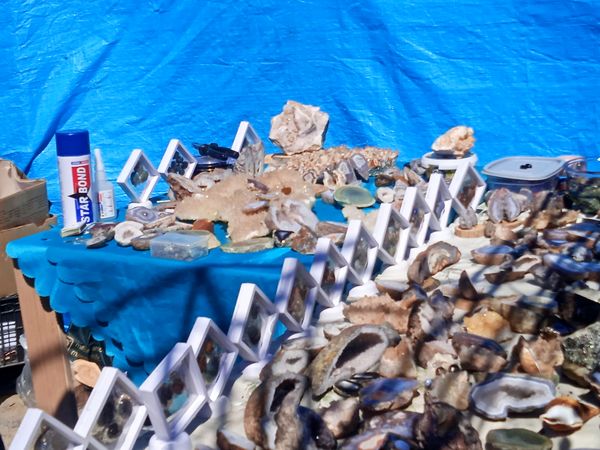 جشنواره ساحل نشینان خزر در محمود‌آباد