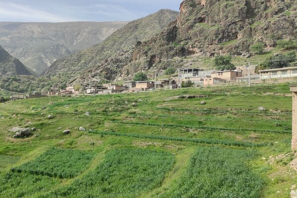 بهار، آغاز دوباره‌ی زندگی طبیعت 