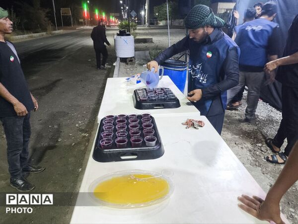 «سندرک» در سوگ جاماندگان اربعین حسینی