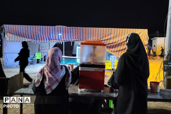 حس و حال دلدادگان حسینی در مسیر نجف و کربلا