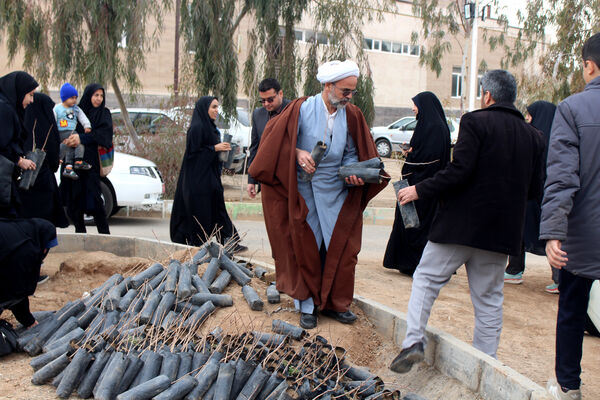 جلوه‌هایی از آیین درختکاری در اردوگاه شهدای 15 خرداد قم