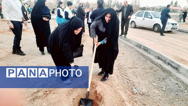 آیین گرامیداشت هفته منابع طبیعی در قم