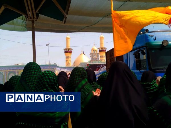 میلیون‌ها گام عاشقی؛ روایت حماسه اربعین حسینی از نجف تا کربلا