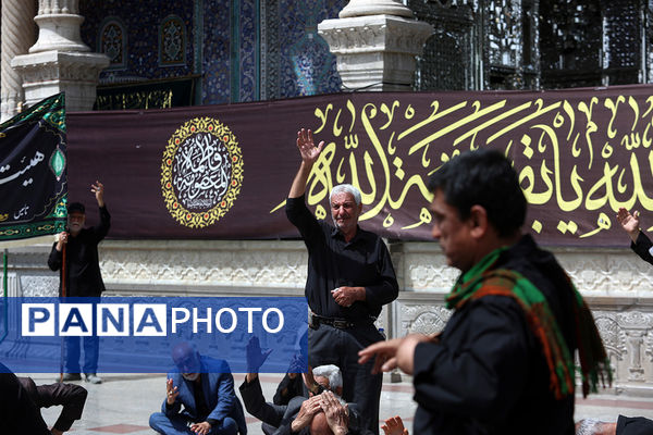 حضور دسته‌عزاداری سالروز شهادت امام جعفر صادق(ع) در حرم حضرت معصومه(س)