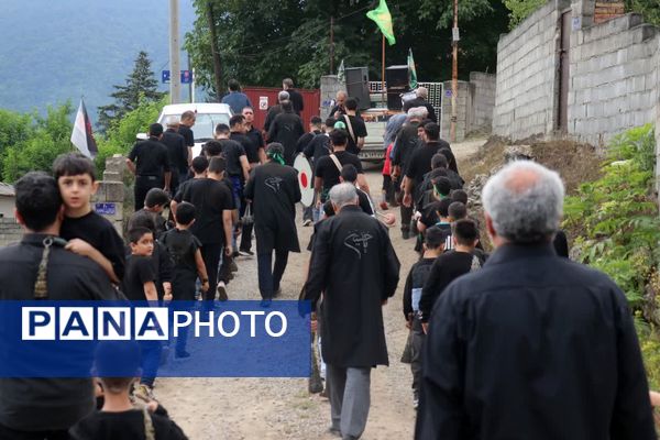 تاسوعای حسینی در روستای پیمد نور 