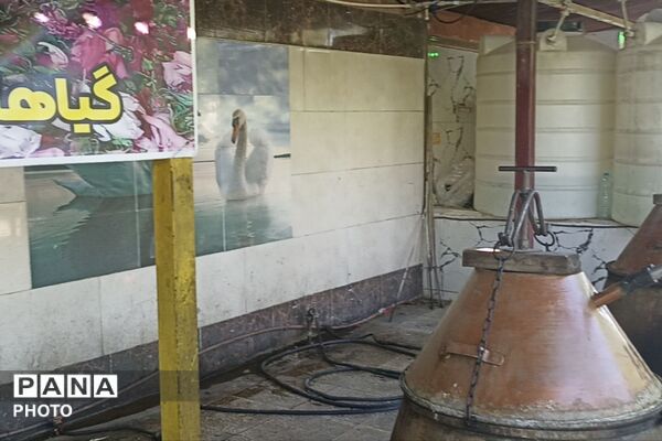 از گل محمدی تا داروهای گیاهی؛ جشنواره‌ای با عطر سلامتی در رباط‌کریم