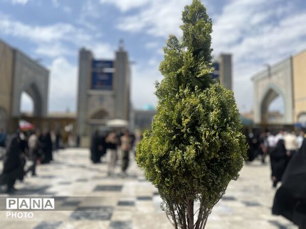 نور خورشید سما بر روی خورشید طوس