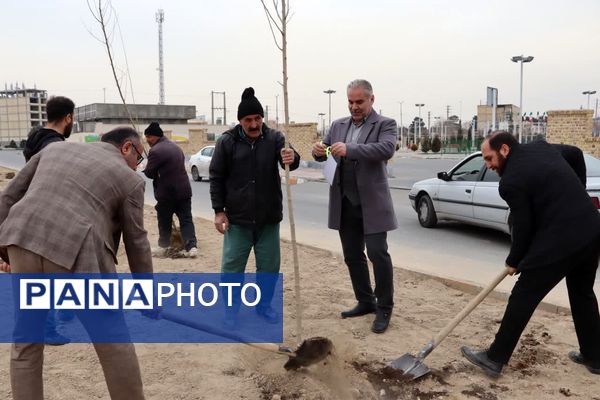 کاشت درخت به یاد شهدا در محمدشهر 