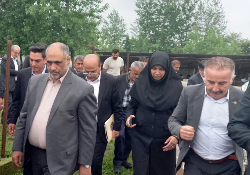 نهاده‌های دامی با قیمت مناسب تامین می‌شود