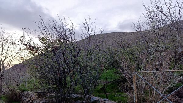 سیزده بدر باستانی در روستای زیارتی و سیاحتی سوقند 