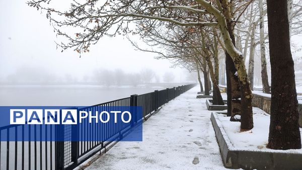 برف بی‌پایان، شهرستان بن را در آغوش سپیدی برد
