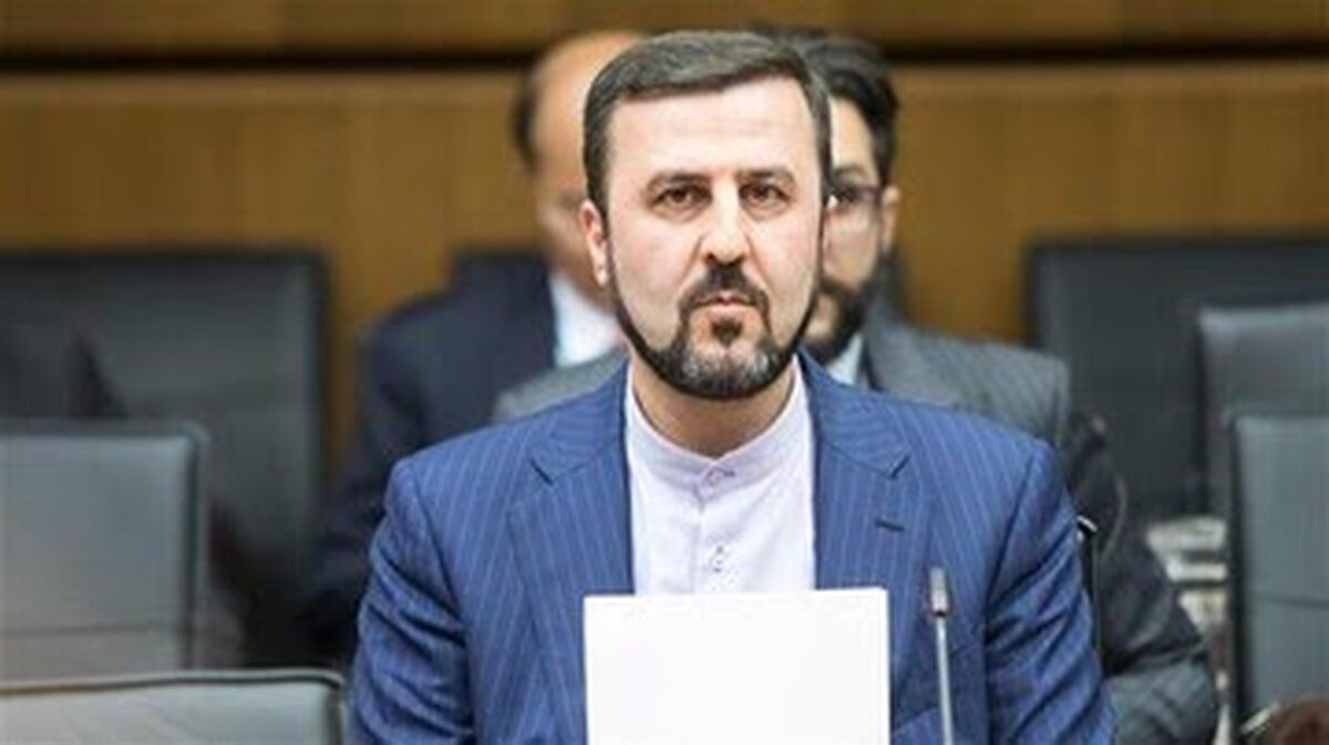 روابط اقتصادی کشورها با ایران با دستور آمریکا تعیین نمی‌شود
