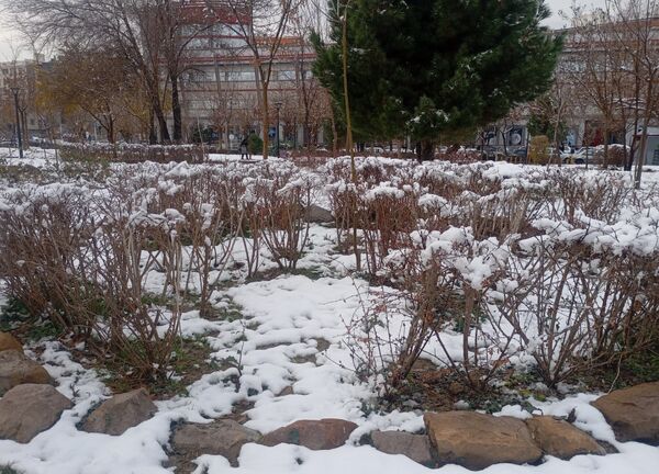 بارش برف در شهر زیبای مشهد 