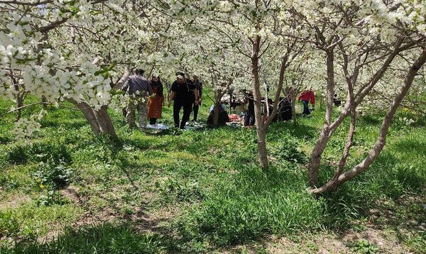 شهر زیبای بار، بهشت نیشابور