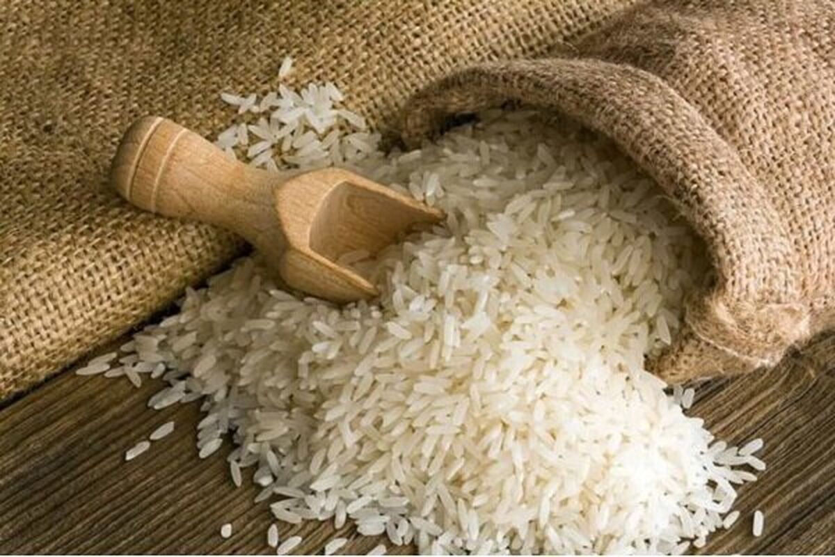 قیمت برنج در میادین و بازارهای میوه و تره‌بار اعلام شد
