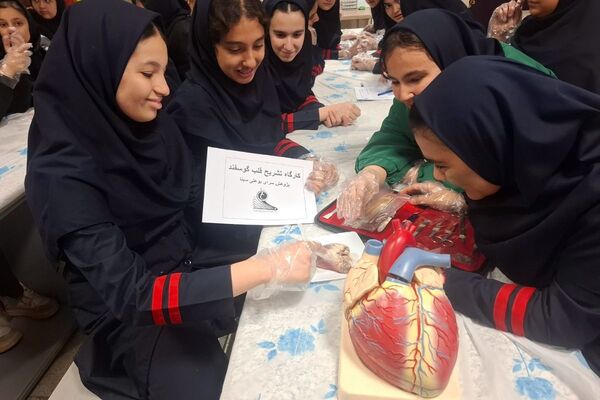 کارگاه تشریح قلب برای دانش آموزان فرزانگان شهرستان ملارد