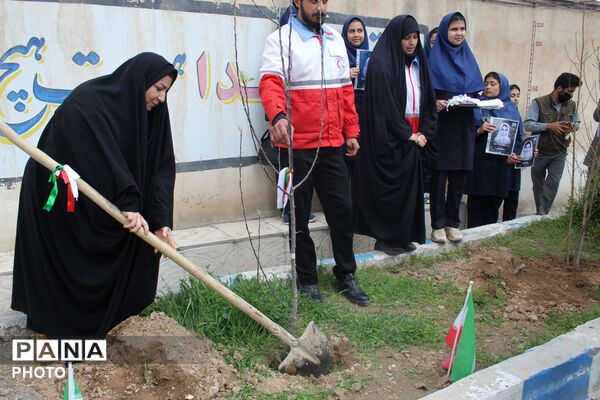 کاشت نهال همزمان با چهلمین روز شهادت فرشتگان میناب 