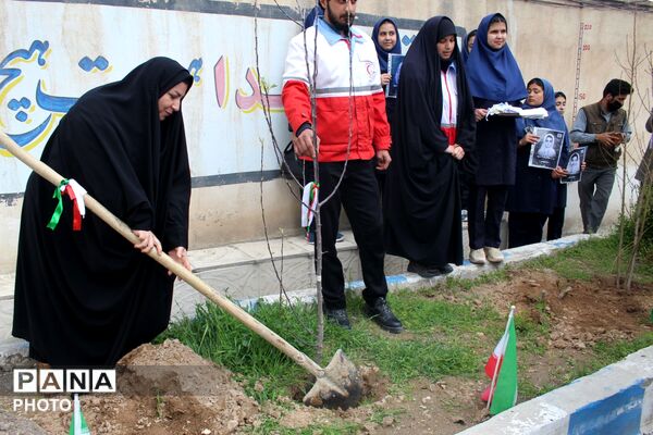 کاشت نهال همزمان با چهلمین روز شهادت فرشتگان میناب 