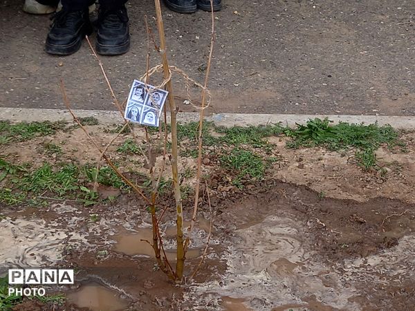 درختی برای زندگی؛ یادواره‌ای برای شهدا