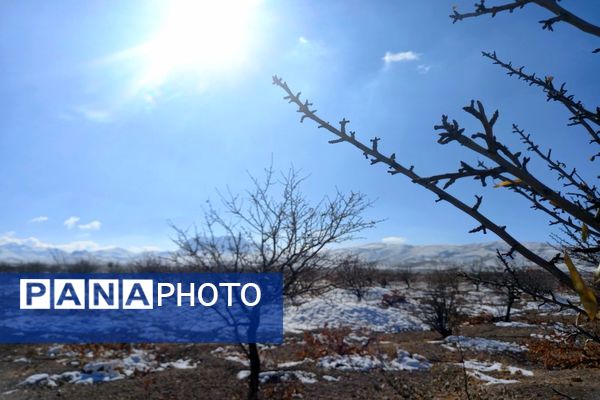 رد پای برف در باغات نهضت آباد اصفهان