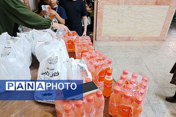 از کربلا تا ایران؛ روایت تابستان ایستادگی