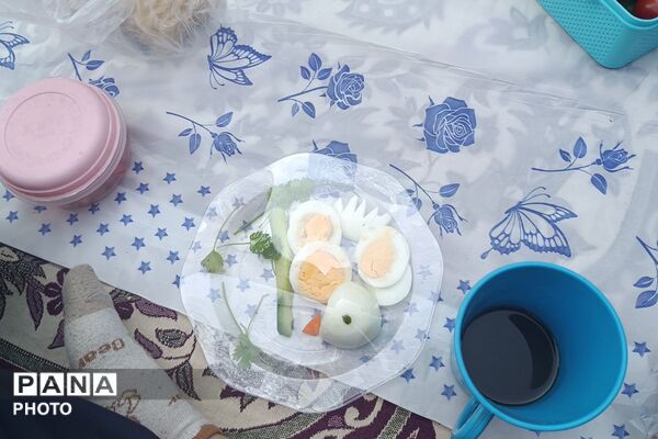 به وقت سلامتی؛ پیوند روز جهانی غذا و تخم‌مرغ در دبستان علامه طباطبایی (ره)