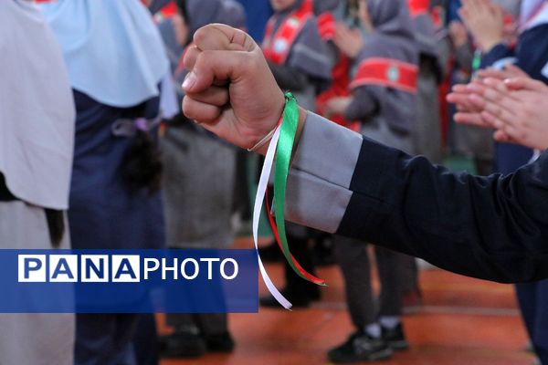 همایش «یاوران انقلاب» در بهارستان‌دو