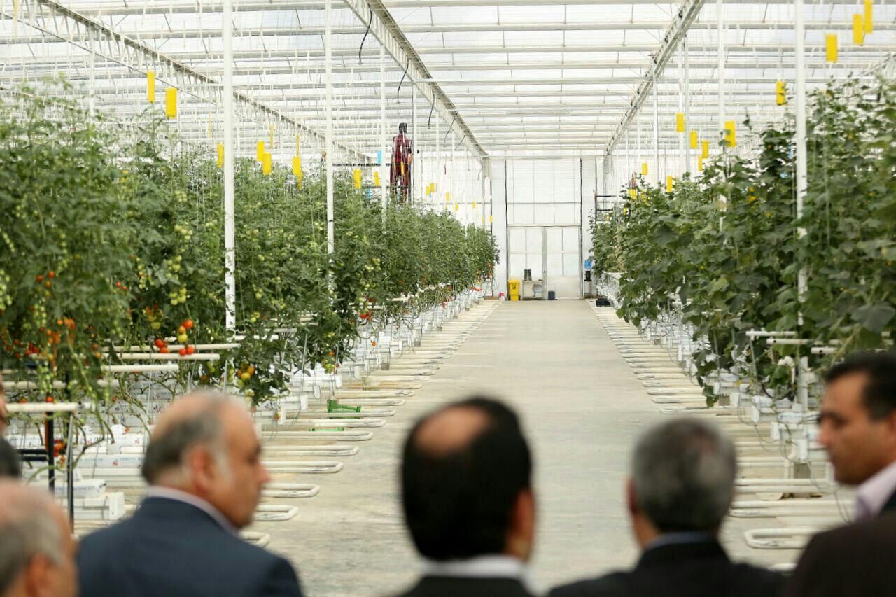 خرم‌آباد، قطب آینده کشت گلخانه‌ای در لرستان