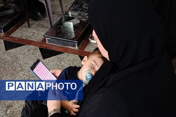 عشق و ارادت مردم شهرستان ملارد به امام رضا (ع) به روایت تصویر