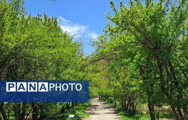 فصل بهار، فرصتی برای سر زندگی روح