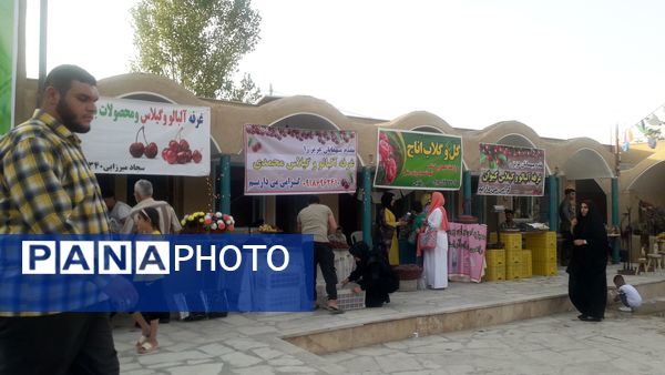 جشنواره آلبالو و گیلاس روستای اناج