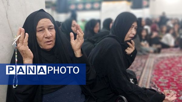 همایش شیرخوارگان حسینی در پارسیان