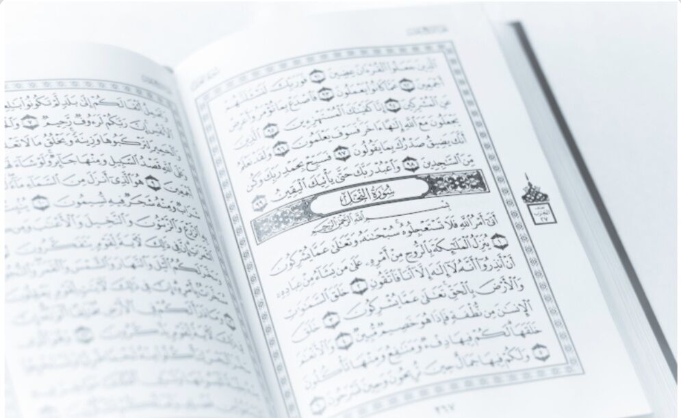 بیانیه کمیسیون توسعه آموزش عمومی قرآن کشور در پی هتک حرمت به ساحت مقدس قرآن کریم