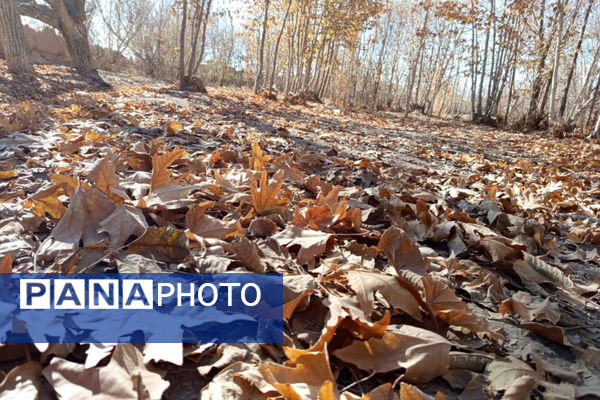 خزان زیبا در کوچه باغ‌های شهر بهمن