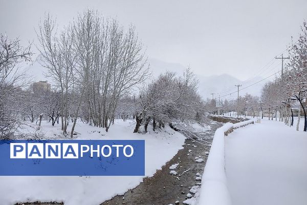 برف بارید و خدا پاکی خود را به شهر زیبایی بار هدیه کرد