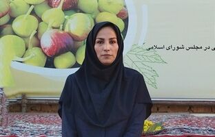 انجیر بخشی از هویت فرهنگی و اقتصادی شهرستان است