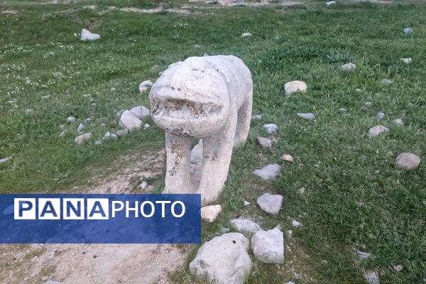 قبرستانی تاریخی و سرسبز به قدمت چند صد ساله در فارس