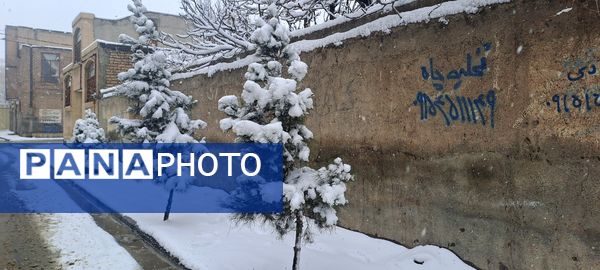 شهر نیشابور سفید پوش شد 