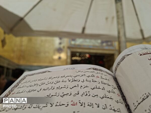 ایوان نجف از قاب پانا