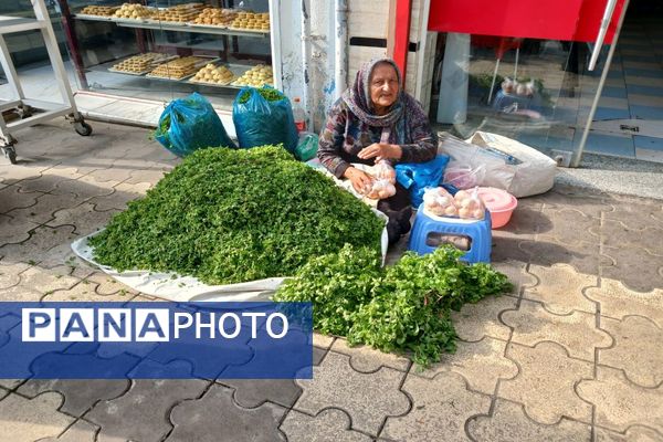 سه‌شنبه بازار شهر املش 