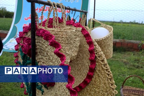 همایش پیاده‌روی خانوادگی در گلوگاه 