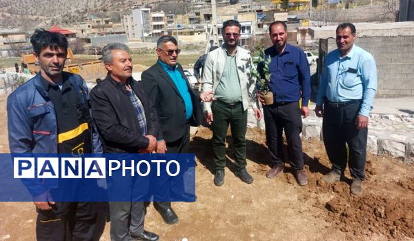 کاشت گل و گیاه در شهر منج، راهی برای احیای زمین