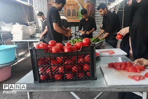 استقرار موکب‌های مردمی، دانش آموزی و خدمت‌رسان ارتش به زائران اربعین