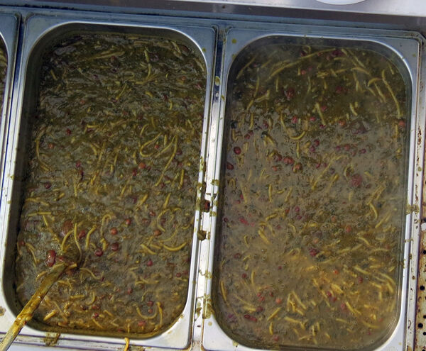 برگزاری جشنواره بومی محلی شهرستان بجنورد 