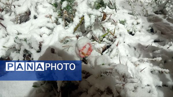 سپیدی بر چهره نیشابور، لبخند پاییز بر دیار فیروزه‌ای