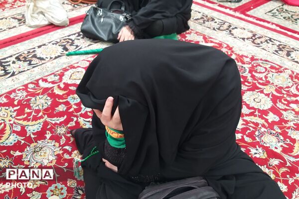 پیاده‌روی دلدادگان اربعین