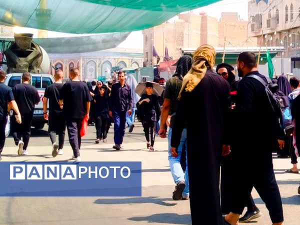 میلیون‌ها گام عاشقی؛ روایت حماسه اربعین حسینی از نجف تا کربلا